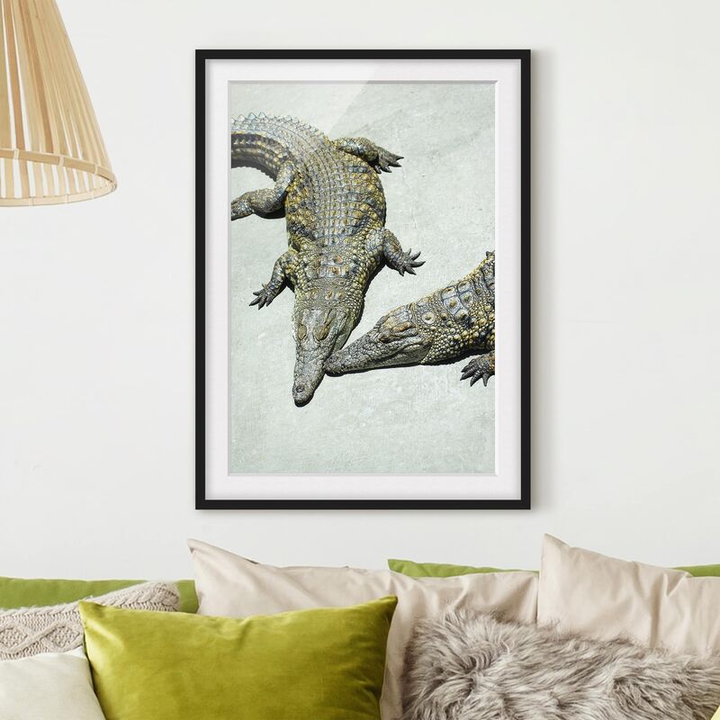 

Póster enmarcado - Crocodile Romance Dimensión LxA: 70cm x 50cm, Marco: Negro