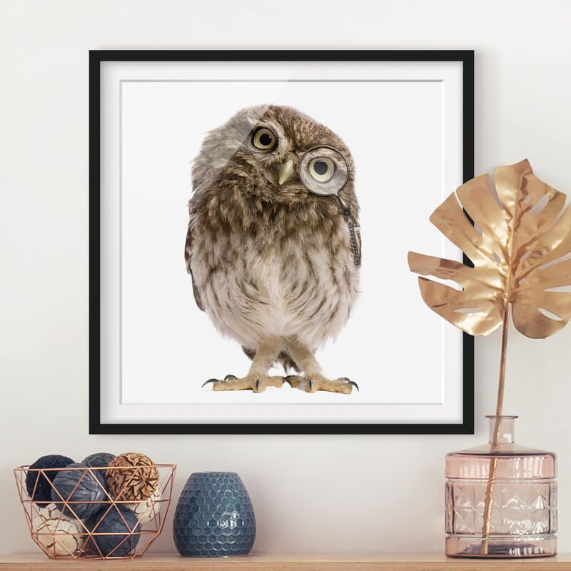 

Póster enmarcado - Curious Owl Dimensión LxA: 70cm x 70cm, Marco: Negro