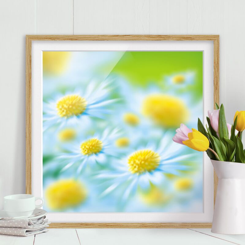 

Póster enmarcado - Daisy Dimensión LxA: 70cm x 70cm, Marco: Roble