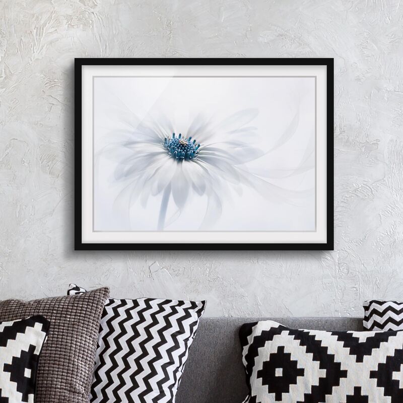 

Póster enmarcado - Daisy In Blue Dimensión LxA: 50cm x 70cm, Marco: Negro