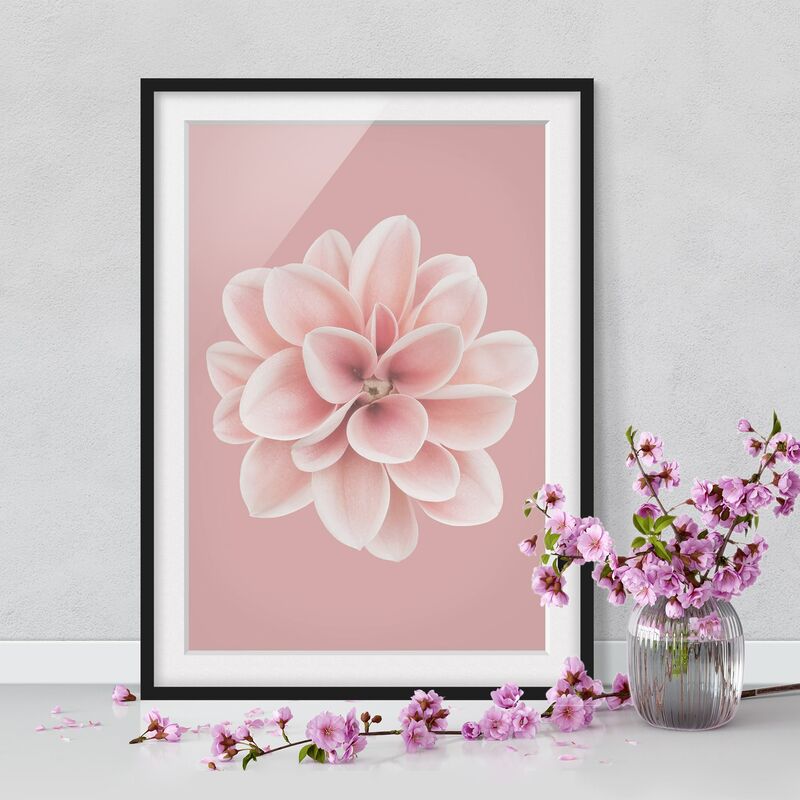 

Póster enmarcado - Dalia centrata in fard rosa Dimensión LxA: 40cm x 30cm, Marco: Negro