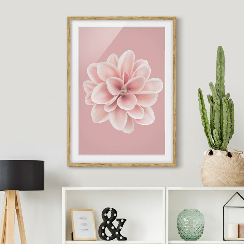 

Póster enmarcado - Dalia centrata in fard rosa Dimensión LxA: 24cm x 18cm, Marco: Roble