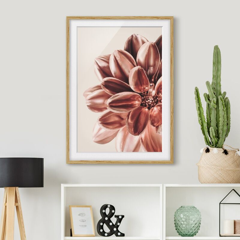 

Póster enmarcado - Dalia dorata di rame Dimensión LxA: 55cm x 40cm, Marco: Roble