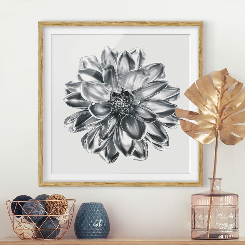

Póster enmarcado - Dalia in argento metallico Dimensión LxA: 30cm x 30cm, Marco: Roble