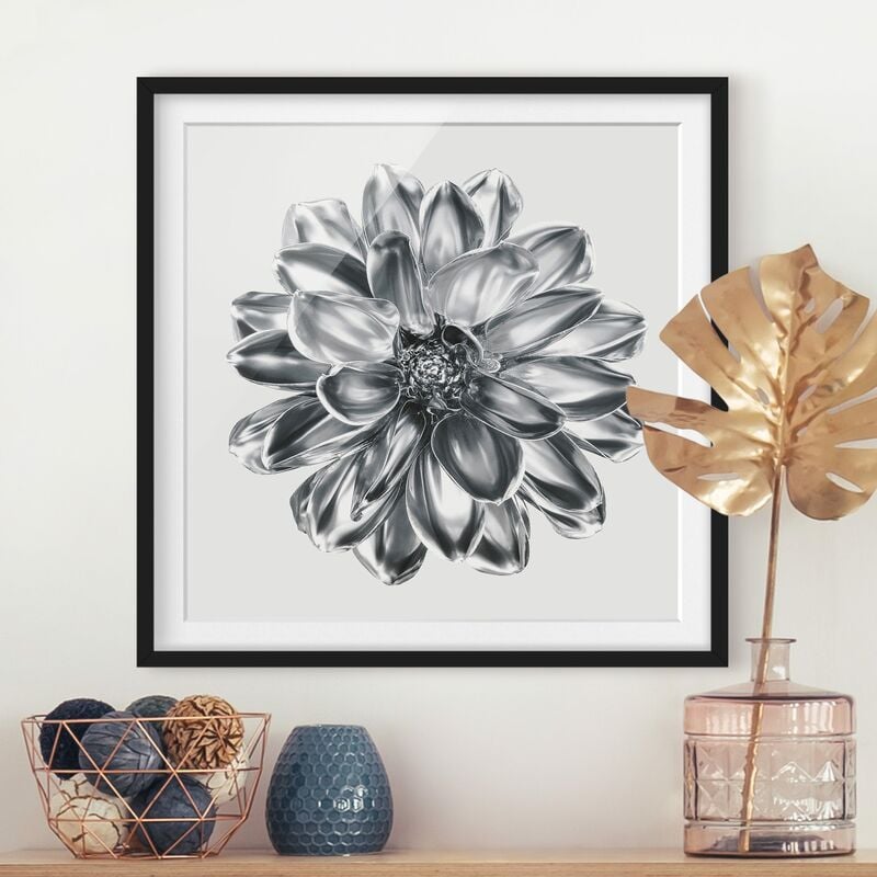 

Póster enmarcado - Dalia in argento metallico Dimensión LxA: 30cm x 30cm, Marco: Negro