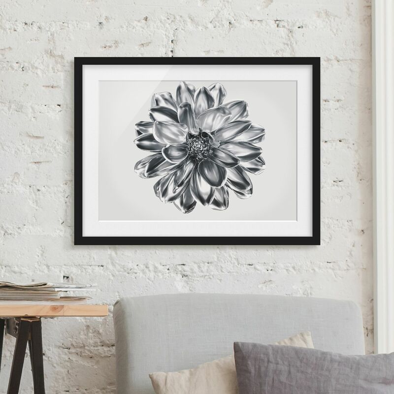 

Póster enmarcado - Dalia in argento metallico Dimensión LxA: 18cm x 24cm, Marco: Negro