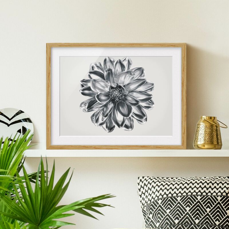 

Póster enmarcado - Dalia in argento metallico Dimensión LxA: 40cm x 55cm, Marco: Roble