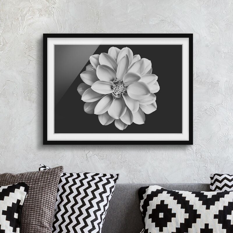 

Póster enmarcado - Dalia in bianco e nero Dimensión LxA: 70cm x 100cm, Marco: Negro