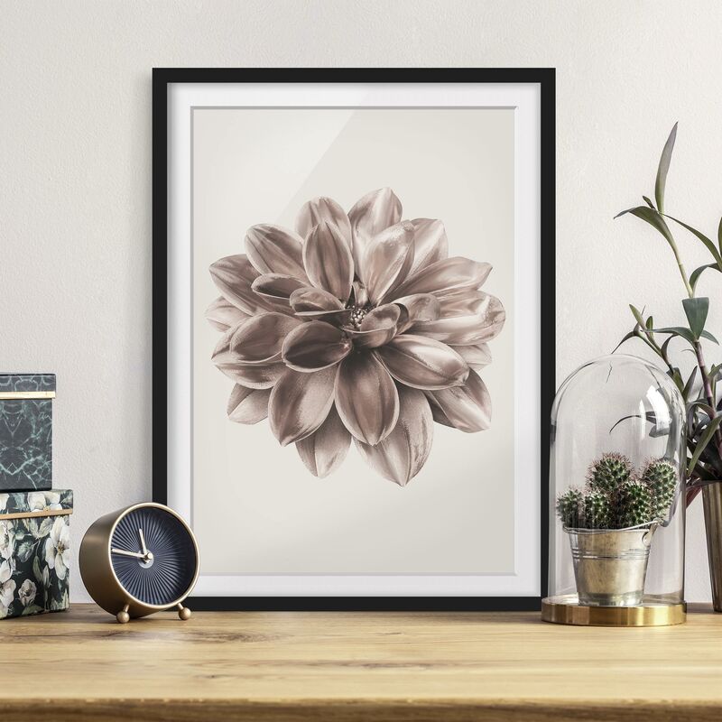 

Póster enmarcado - Dalia in bronzo metallico centrato in beige Dimensión LxA: 55cm x 40cm, Marco: Negro