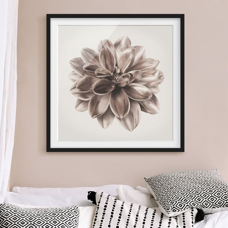 

Póster enmarcado - Dalia in bronzo metallico centrato in beige Dimensión LxA: 70cm x 70cm, Marco: Negro