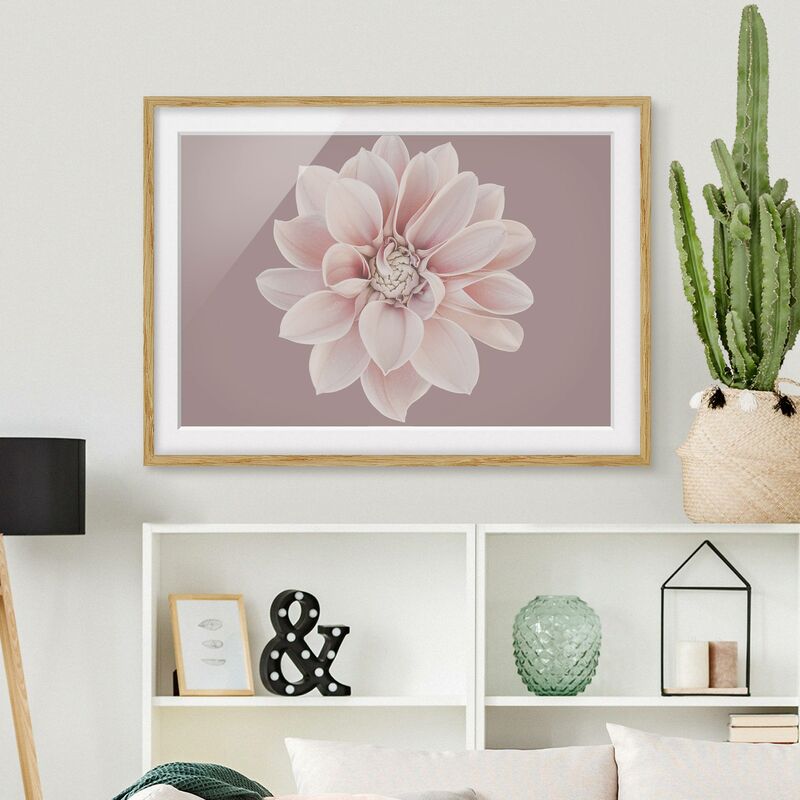 

Póster enmarcado - Dalia in lavanda bianca e rosa Dimensión LxA: 70cm x 100cm, Marco: Roble