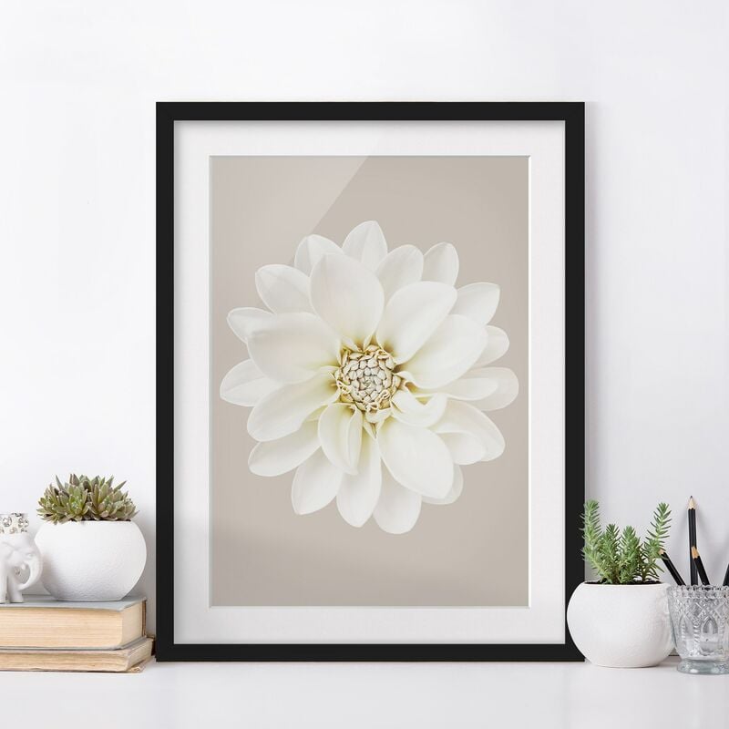 

Póster enmarcado - Dalia in pastello bianco e grigio talpa centrata Dimensión LxA: 55cm x 40cm, Marco: Negro