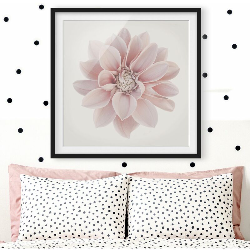 

Póster enmarcado - Dalia in pastello bianco e rosa Dimensión LxA: 50cm x 50cm, Marco: Negro