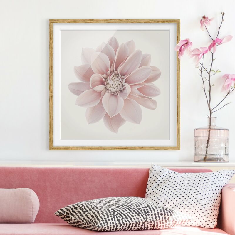 

Póster enmarcado - Dalia in pastello bianco e rosa Dimensión LxA: 50cm x 50cm, Marco: Roble