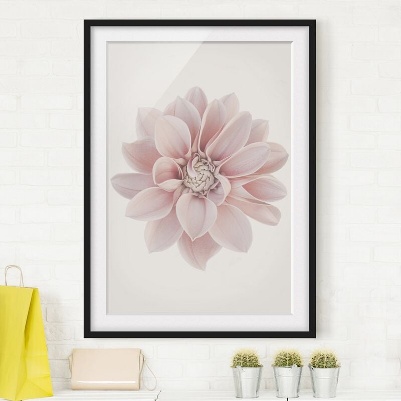 

Póster enmarcado - Dalia in pastello bianco e rosa Dimensión LxA: 100cm x 70cm, Marco: Negro