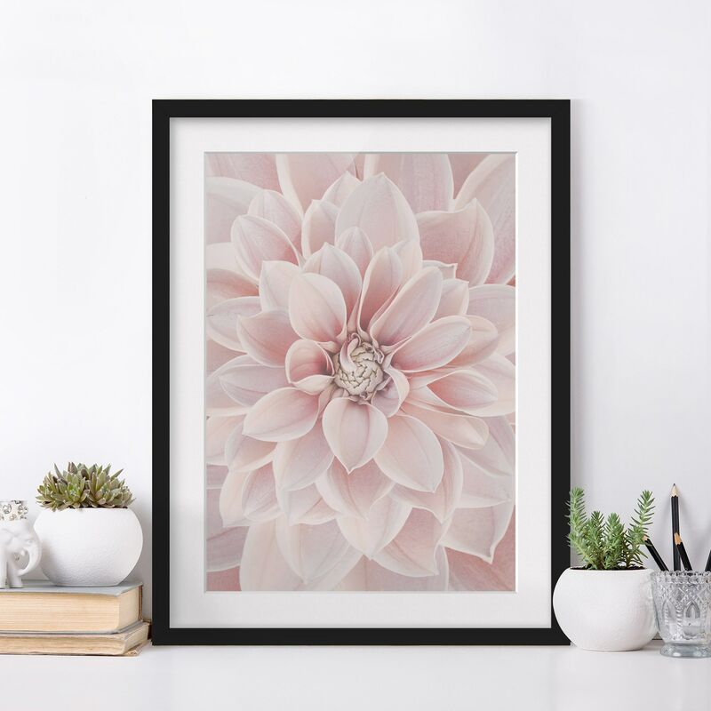 

Póster enmarcado - Dalia in rosa cipria Dimensión LxA: 40cm x 30cm, Marco: Negro
