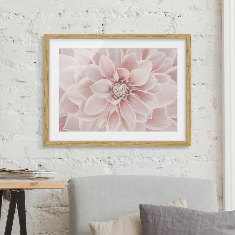 

Póster enmarcado - Dalia in rosa cipria Dimensión LxA: 18cm x 24cm, Marco: Roble