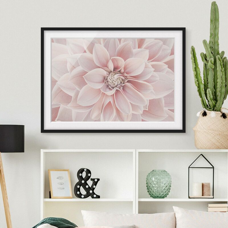 

Póster enmarcado - Dalia in rosa cipria Dimensión LxA: 70cm x 100cm, Marco: Negro