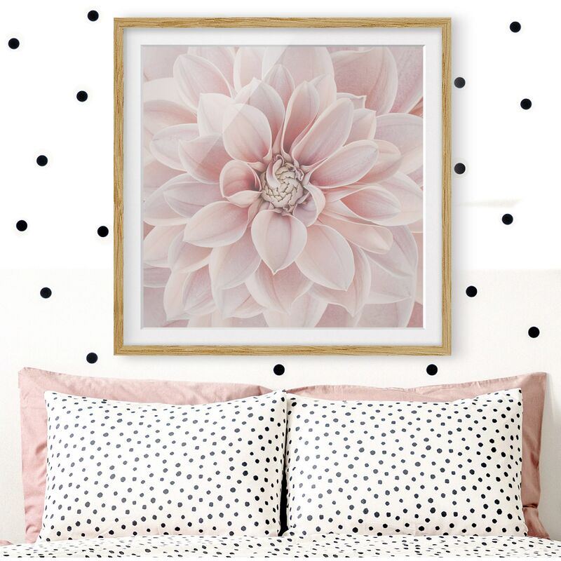 

Póster enmarcado - Dalia in rosa cipria Dimensión LxA: 30cm x 30cm, Marco: Roble