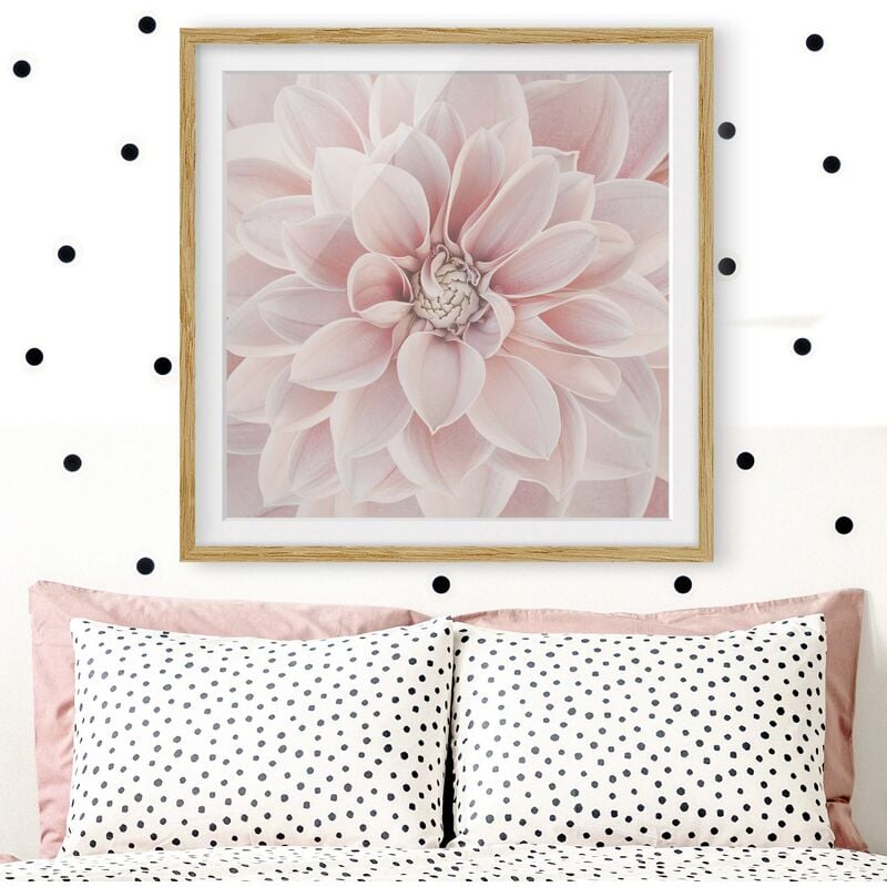 

Póster enmarcado - Dalia in rosa cipria Dimensión LxA: 70cm x 70cm, Marco: Roble