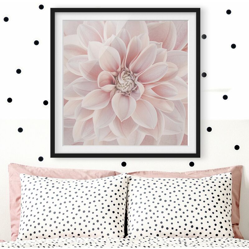 

Póster enmarcado - Dalia in rosa cipria Dimensión LxA: 50cm x 50cm, Marco: Negro