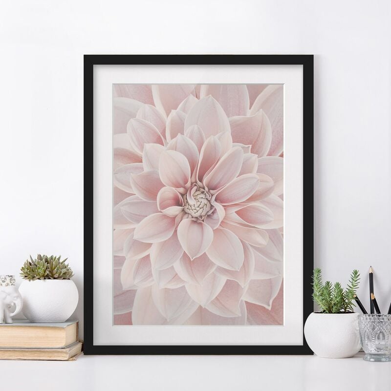 

Póster enmarcado - Dalia in rosa cipria Dimensión LxA: 40cm x 30cm, Marco: Negro