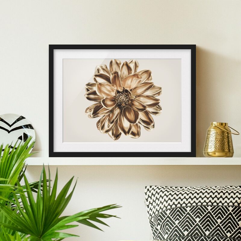 

Póster enmarcado - Dalia metallica dorata Dimensión LxA: 70cm x 100cm, Marco: Negro