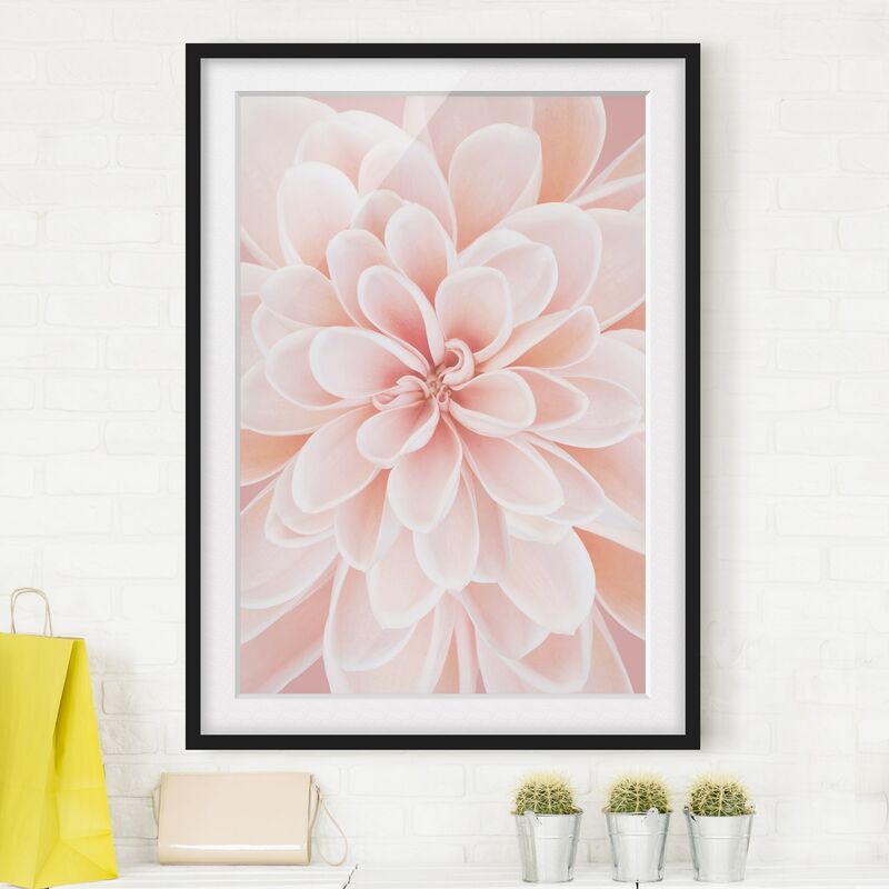 

Póster enmarcado - Dalie in rosa pastello Dimensión LxA: 24cm x 18cm, Marco: Negro