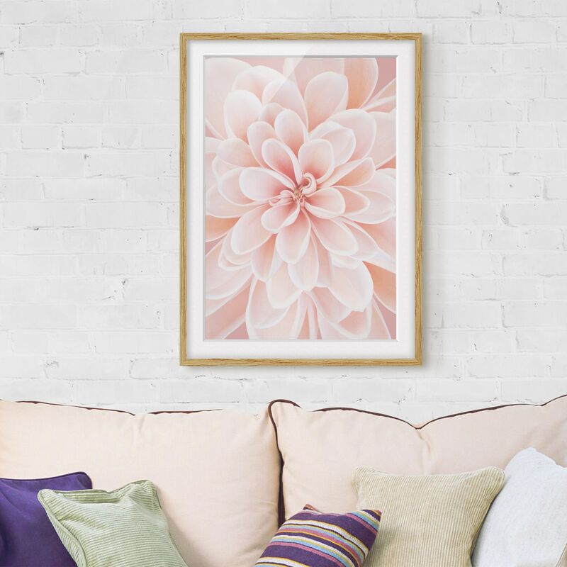 

Póster enmarcado - Dalie in rosa pastello Dimensión LxA: 24cm x 18cm, Marco: Roble
