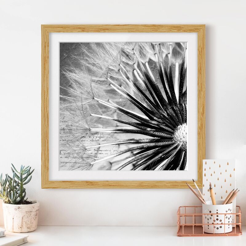 

Póster enmarcado - Dandelion Black & White Dimensión LxA: 30cm x 30cm, Marco: Roble