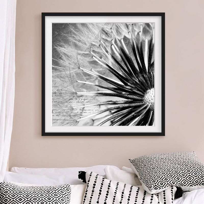 

Póster enmarcado - Dandelion Black & White Dimensión LxA: 70cm x 70cm, Marco: Negro