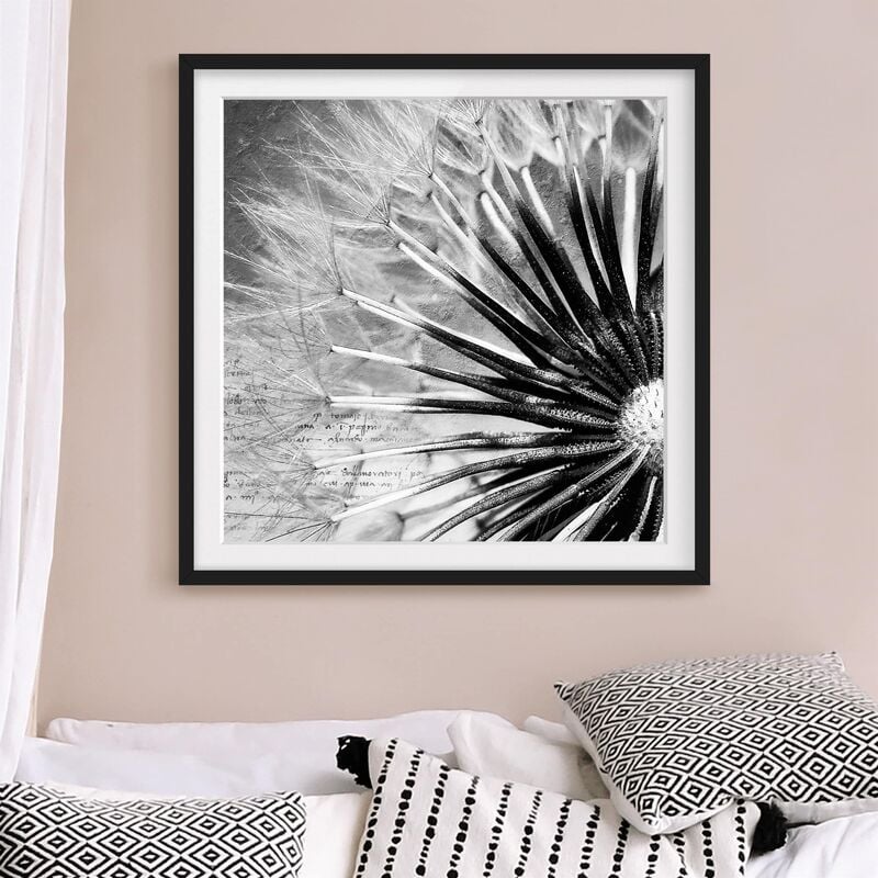 

Póster enmarcado - Dandelion Black & White Dimensión LxA: 30cm x 30cm, Marco: Negro