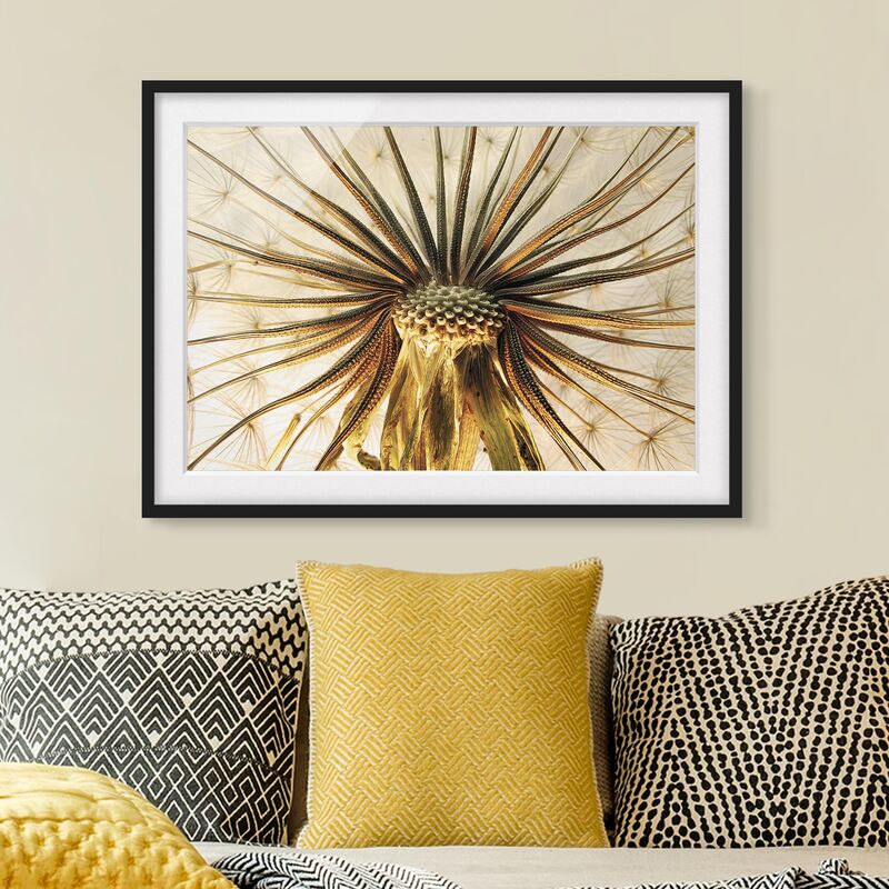 

Póster enmarcado - Dandelion Close Up Dimensión LxA: 30cm x 40cm, Marco: Negro