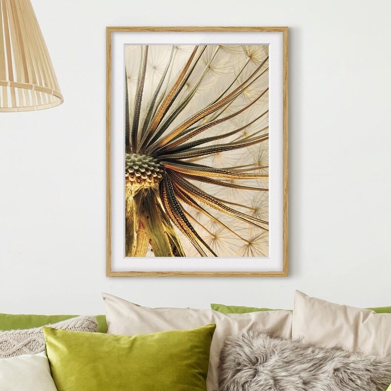 

Póster enmarcado - Dandelion Close Up Dimensión LxA: 40cm x 30cm, Marco: Roble