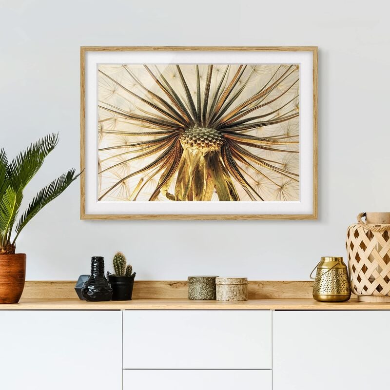 

Póster enmarcado - Dandelion Close Up Dimensión LxA: 40cm x 55cm, Marco: Roble