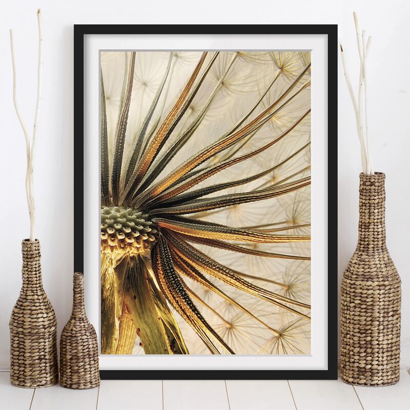 

Póster enmarcado - Dandelion Close Up Dimensión LxA: 100cm x 70cm, Marco: Negro