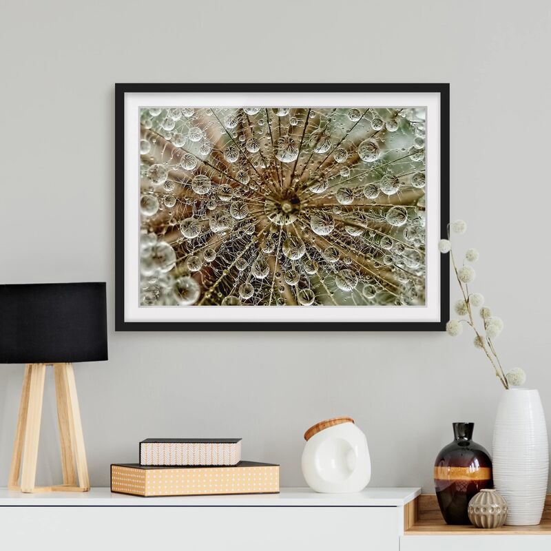 

Póster enmarcado - Dandelion In Autumn Dimensión LxA: 30cm x 40cm, Marco: Negro