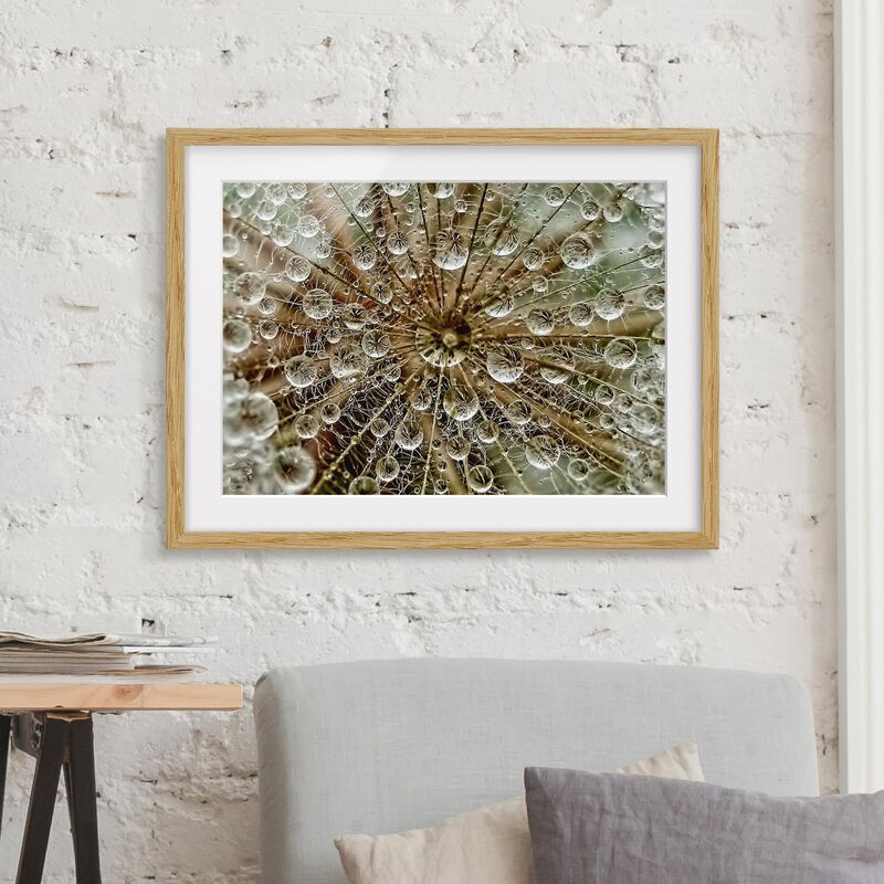 

Póster enmarcado - Dandelion In Autumn Dimensión LxA: 50cm x 70cm, Marco: Roble