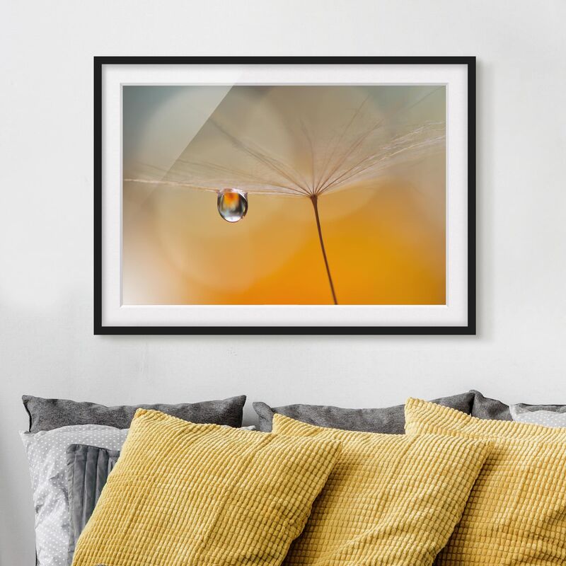 

Póster enmarcado - Dandelion In Orange Dimensión LxA: 30cm x 40cm, Marco: Negro