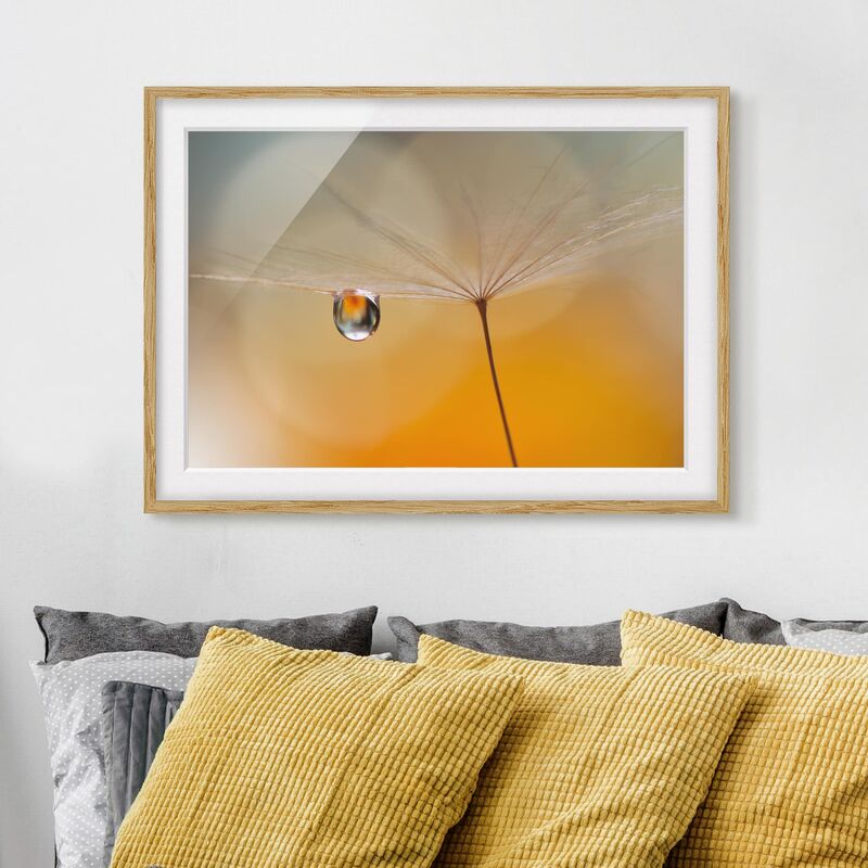 

Póster enmarcado - Dandelion In Orange Dimensión LxA: 50cm x 70cm, Marco: Roble