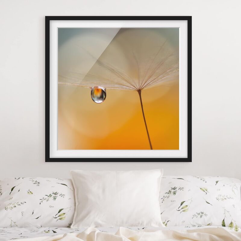 

Póster enmarcado - Dandelion In Orange Dimensión LxA: 50cm x 50cm, Marco: Negro