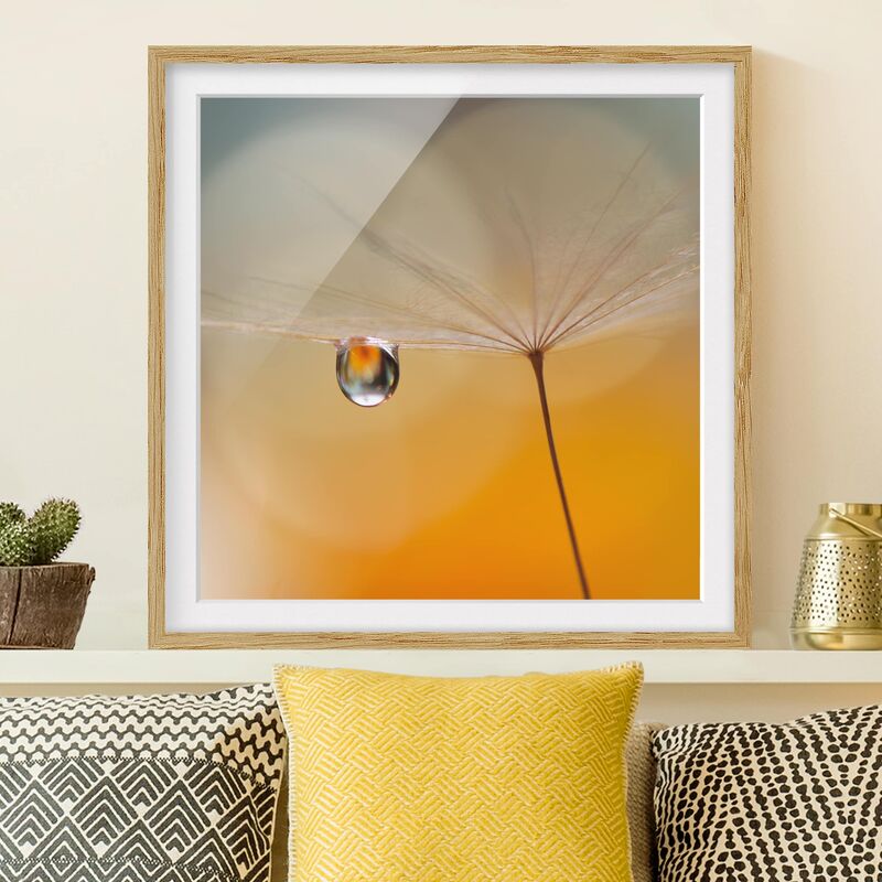 

Póster enmarcado - Dandelion In Orange Dimensión LxA: 20cm x 20cm, Marco: Roble
