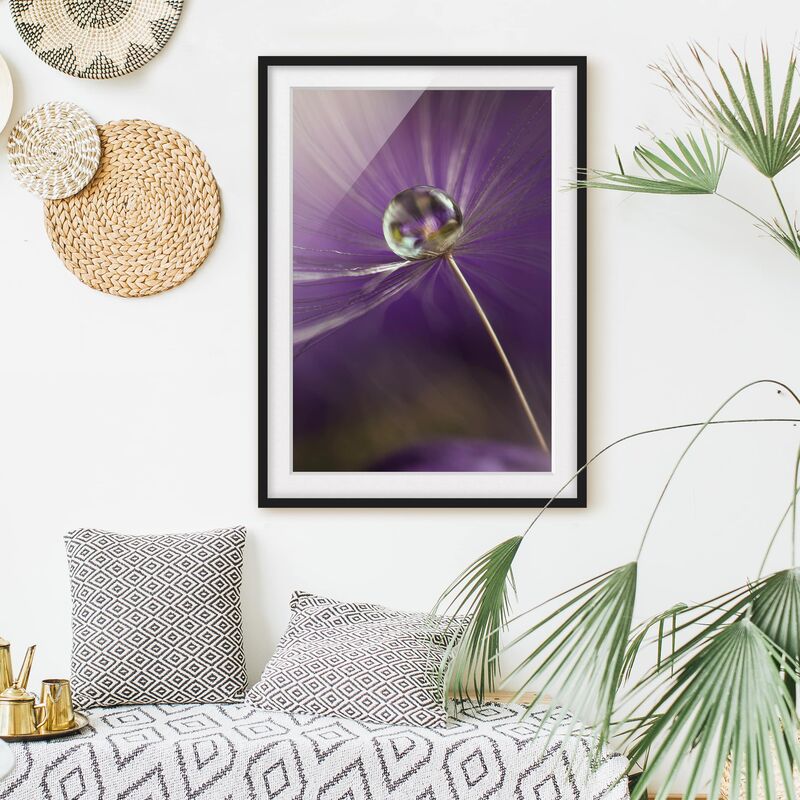 

Póster enmarcado - Dandelion In Violet Dimensión LxA: 55cm x 40cm, Marco: Negro