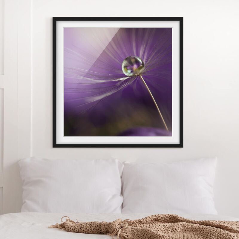 

Póster enmarcado - Dandelion In Violet Dimensión LxA: 70cm x 70cm, Marco: Negro