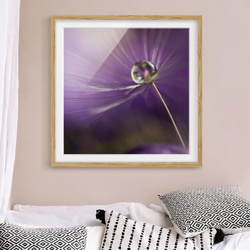 

Póster enmarcado - Dandelion In Violet Dimensión LxA: 50cm x 50cm, Marco: Roble