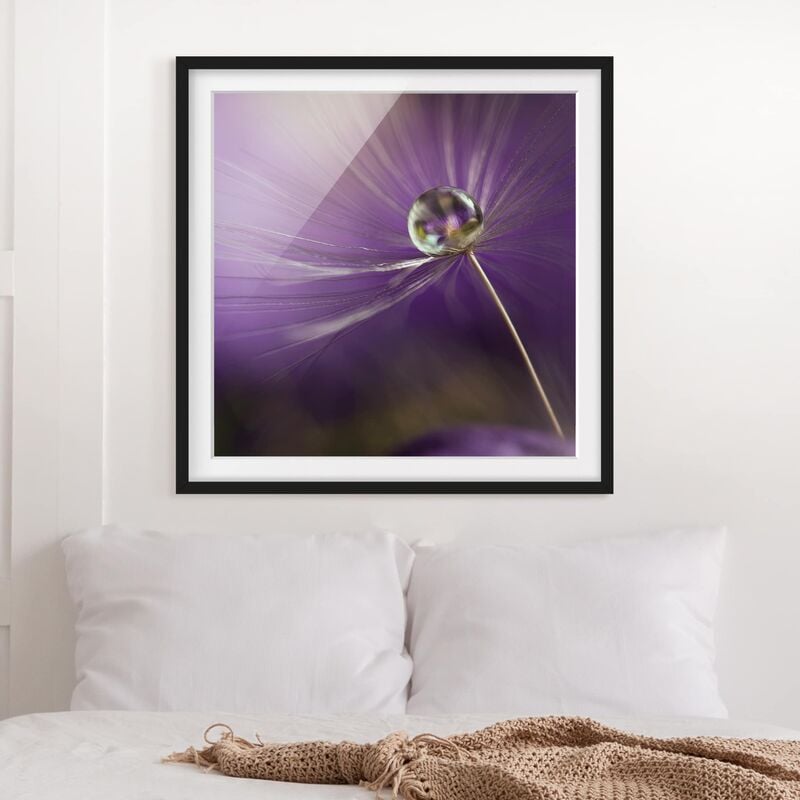 

Póster enmarcado - Dandelion In Violet Dimensión LxA: 50cm x 50cm, Marco: Negro