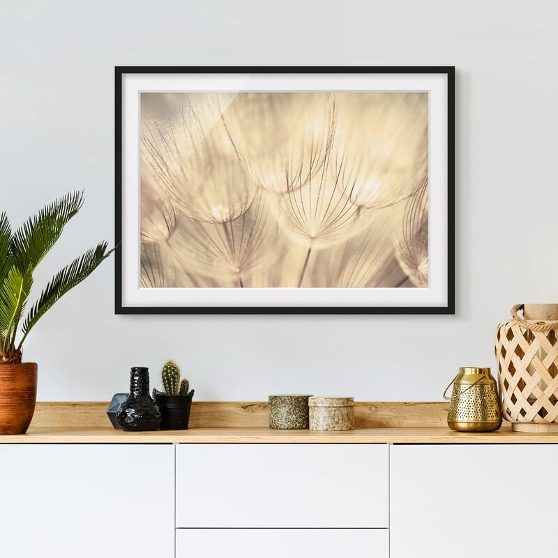 

Póster enmarcado - Dandelions Close-Up In Sepia Tones Homely Dimensión LxA: 18cm x 24cm, Marco: Negro