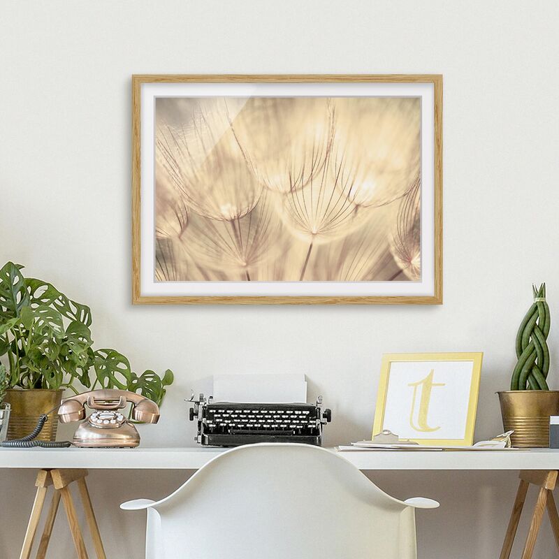 

Póster enmarcado - Dandelions Close-Up In Sepia Tones Homely Dimensión LxA: 70cm x 100cm, Marco: Roble