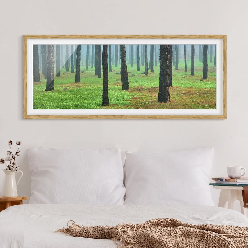 

Póster enmarcado - Deep Forest Con Alberi Di Pino Su La Palma Dimensión LxA: 20cm x 50cm, Marco: Roble