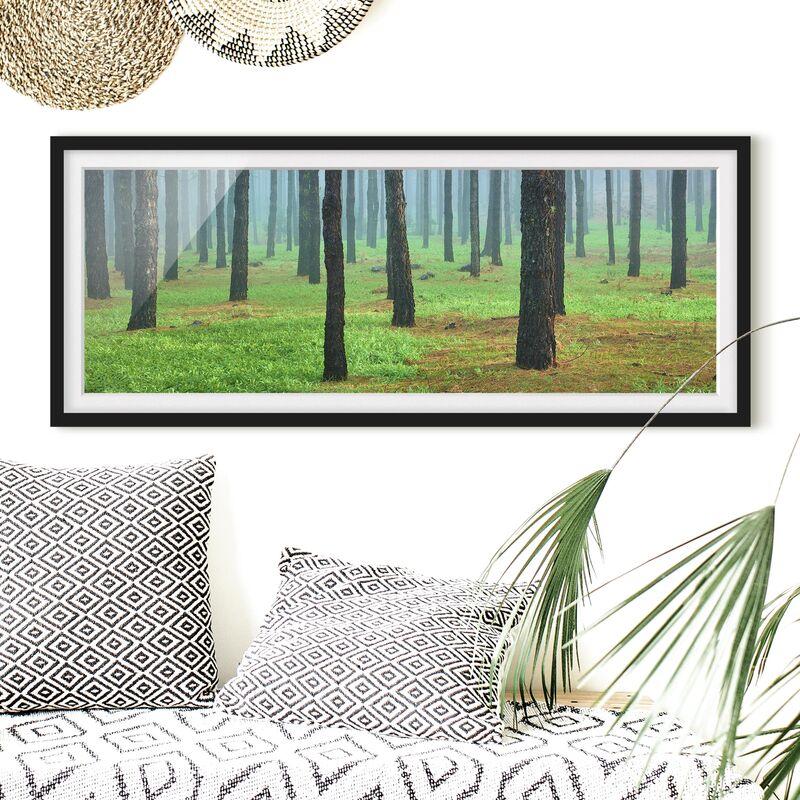 

Póster enmarcado - Deep Forest Con Alberi Di Pino Su La Palma Dimensión LxA: 20cm x 50cm, Marco: Negro